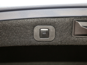 201980th Anniversary Coach Door Edition g