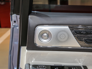 201980th Anniversary Coach Door Edition g