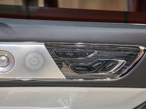 201980th Anniversary Coach Door Edition g