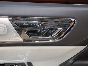 201980th Anniversary Coach Door Edition {{