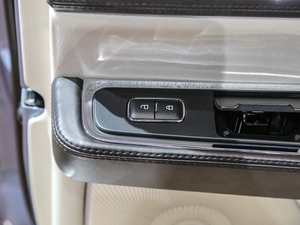 201980th Anniversary Coach Door Edition g