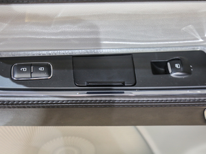 201980th Anniversary Coach Door Edition g