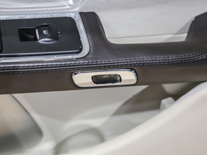 201980th Anniversary Coach Door Edition g