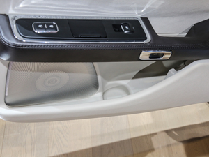 201980th Anniversary Coach Door Edition g