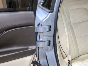 201980th Anniversary Coach Door Edition g