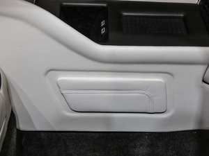 201980th Anniversary Coach Door Edition g