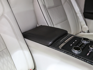 201980th Anniversary Coach Door Edition 