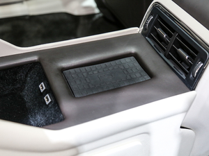 201980th Anniversary Coach Door Edition g