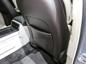 201980th Anniversary Coach Door Edition g