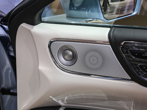 201980th Anniversary Coach Door Edition g