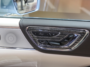 201980th Anniversary Coach Door Edition g