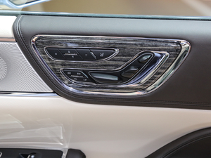 201980th Anniversary Coach Door Edition g