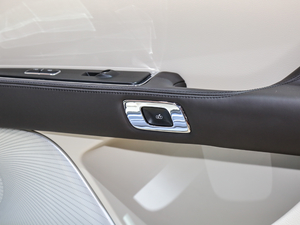 201980th Anniversary Coach Door Edition g