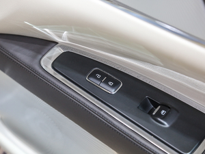 201980th Anniversary Coach Door Edition g