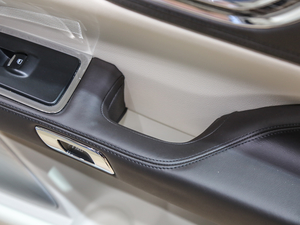 201980th Anniversary Coach Door Edition g