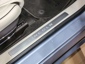 201980th Anniversary Coach Door Edition g