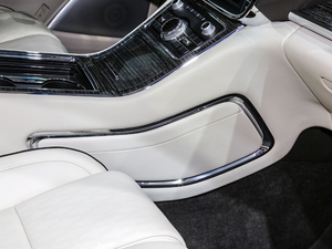 201980th Anniversary Coach Door Edition g