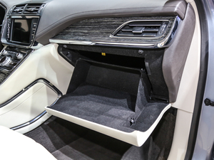 201980th Anniversary Coach Door Edition 