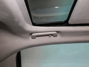 201980th Anniversary Coach Door Edition g