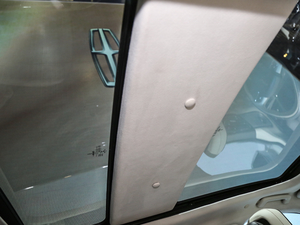 201980th Anniversary Coach Door Edition g