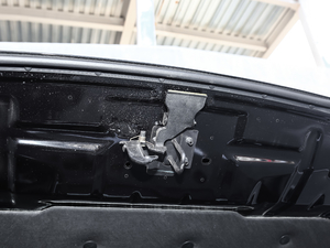2019款3.5T 总统版 国VI 其它