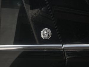 2020款3.5T L 长轴总统版 细节外观