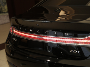 2020款2.0T MONO限量尊雅版 MONO BLACK  细节外观