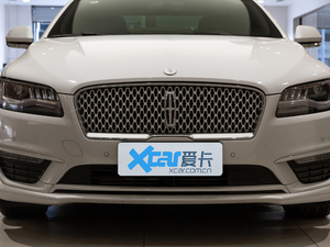 2020款2.0T MONO限量尊雅版 MONO WHITE 中网