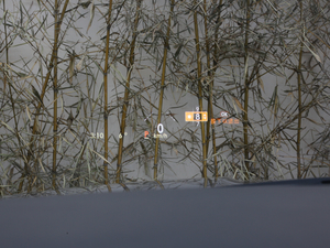 20183.5T y(tng) (gu)V п؅^(q)