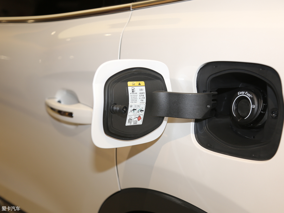 2019 (M) 2.0T (q)Ű V