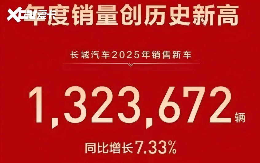 2025销量解读