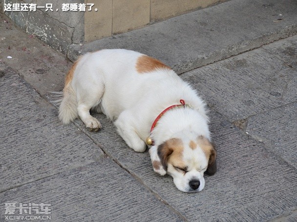 新爱丽舍珠峰游记