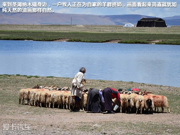 新爱丽舍珠峰游记