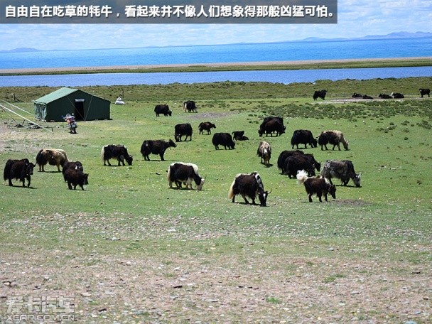 新爱丽舍珠峰游记