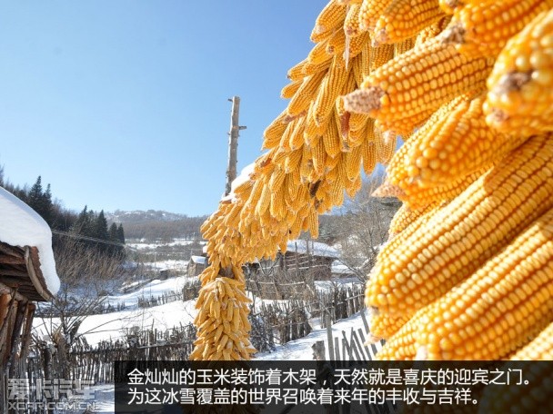 兰德酷路泽冰雪之旅
