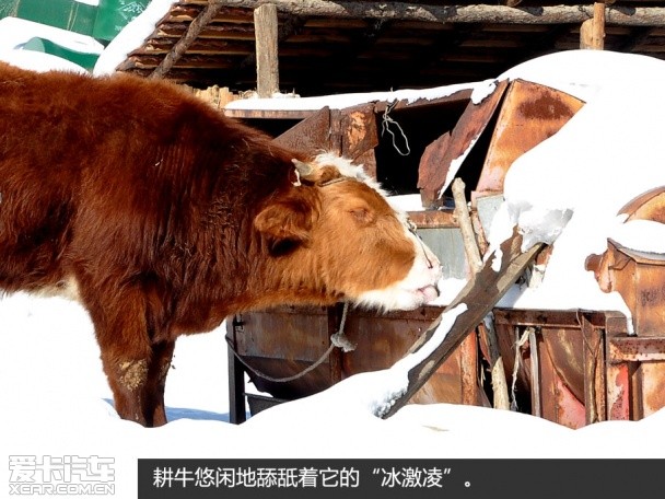 兰德酷路泽冰雪之旅