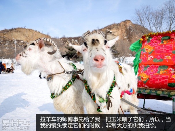 兰德酷路泽冰雪之旅