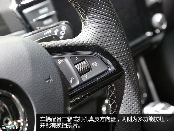 斯柯達(進口)2015款速尊