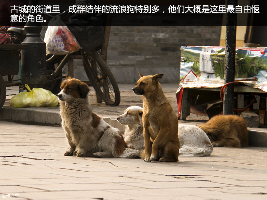 进口欧蓝德平遥之旅