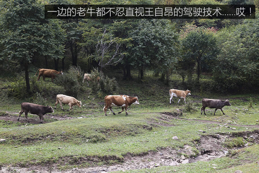 纯爷们的城市SUV探险之旅