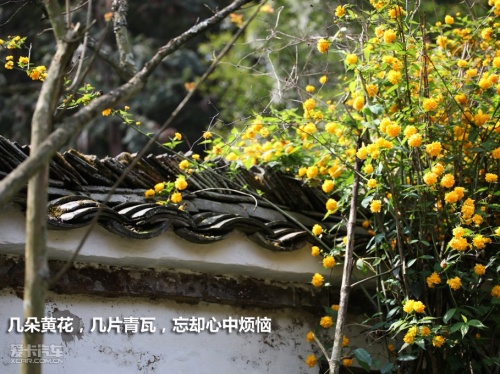锐界徽饶古道之行