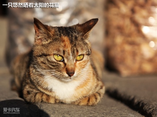 锐界徽饶古道之行