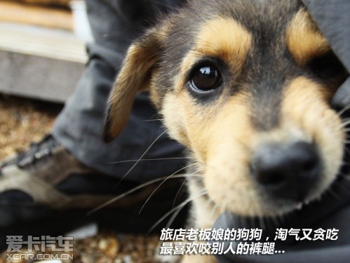 普拉多