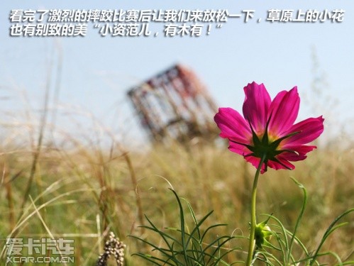 普拉多