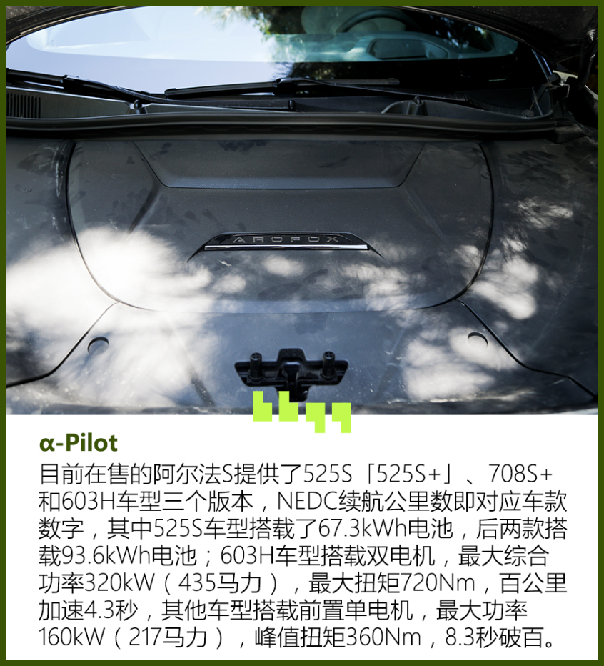 试驾极狐阿尔法S