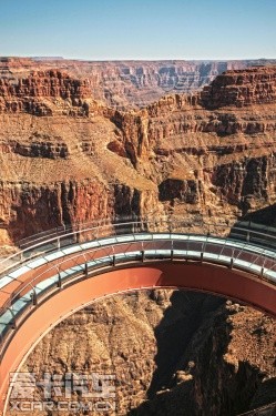 新普锐斯美国体验之旅