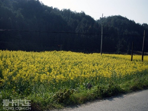 游记部分