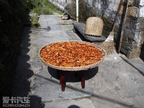 游记部分
