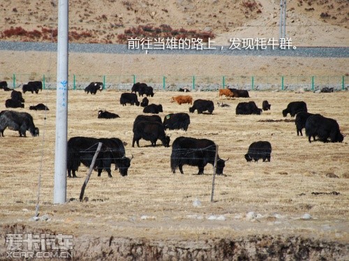 路虎发现24小时 拉萨-敦煌