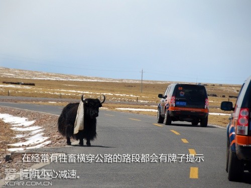 路虎发现24小时 拉萨-敦煌